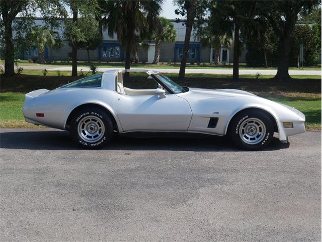 1980 Chevrolet Corvette (CC-2092364) for sale in Palmetto, Florida