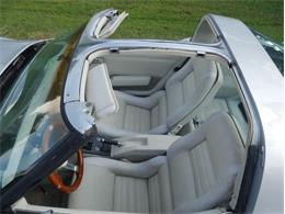 1980 Chevrolet Corvette (CC-2092364) for sale in Palmetto, Florida