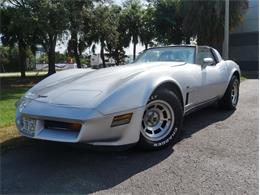1980 Chevrolet Corvette (CC-2092364) for sale in Palmetto, Florida