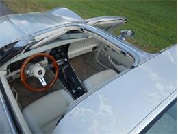 1980 Chevrolet Corvette (CC-2092364) for sale in Palmetto, Florida