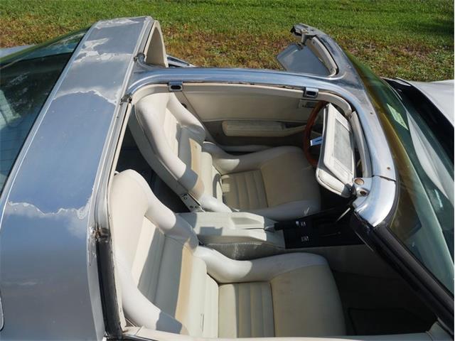 1980 Chevrolet Corvette (CC-2092364) for sale in Palmetto, Florida