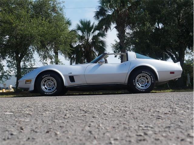 1980 Chevrolet Corvette (CC-2092364) for sale in Palmetto, Florida