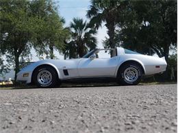 1980 Chevrolet Corvette (CC-2092364) for sale in Palmetto, Florida