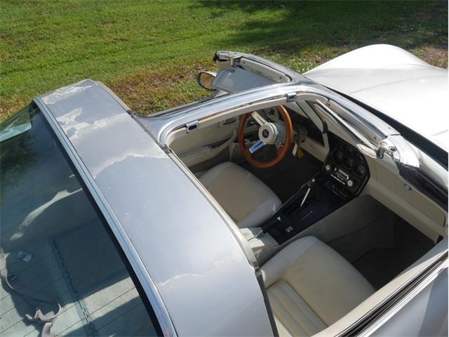 1980 Chevrolet Corvette (CC-2092364) for sale in Palmetto, Florida