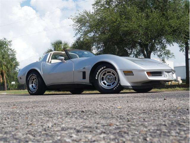 1980 Chevrolet Corvette (CC-2092364) for sale in Palmetto, Florida