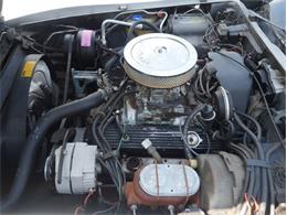 1980 Chevrolet Corvette (CC-2092364) for sale in Palmetto, Florida