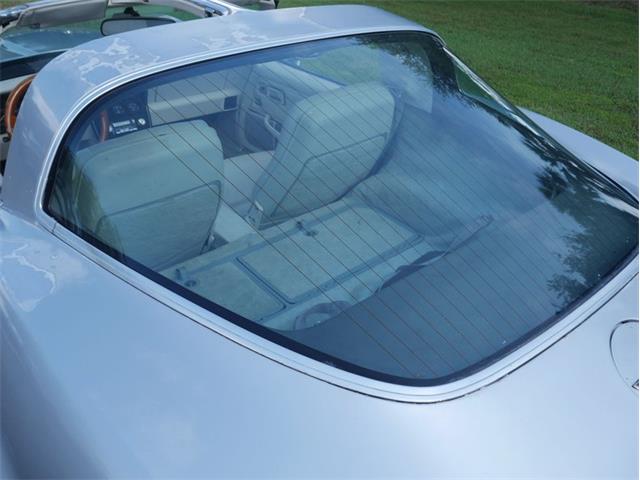1980 Chevrolet Corvette (CC-2092364) for sale in Palmetto, Florida