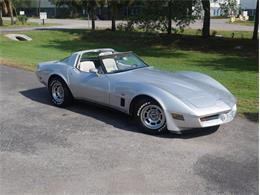 1980 Chevrolet Corvette (CC-2092364) for sale in Palmetto, Florida