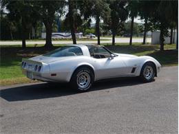 1980 Chevrolet Corvette (CC-2092364) for sale in Palmetto, Florida