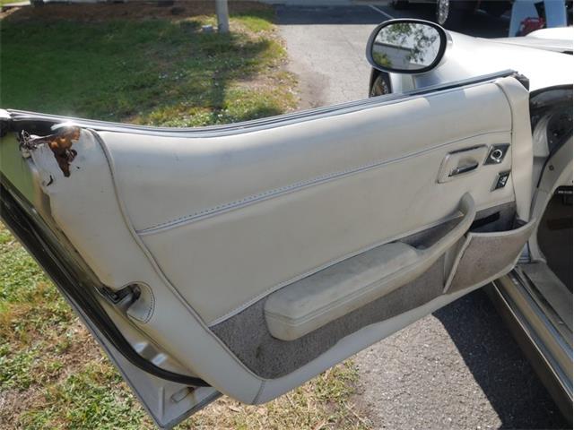 1980 Chevrolet Corvette (CC-2092364) for sale in Palmetto, Florida