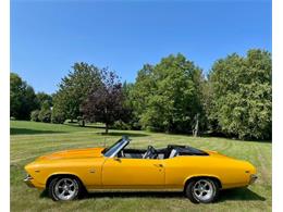1969 Chevrolet Chevelle (CC-2092403) for sale in Cadillac, Michigan