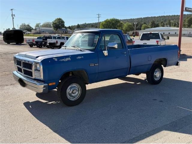 1992 Dodge W150 (CC-2092404) for sale in Cadillac, Michigan