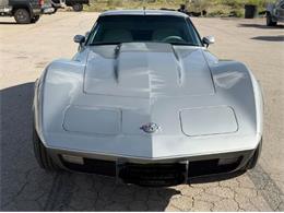 1973 Chevrolet Corvette (CC-2092406) for sale in Cadillac, Michigan