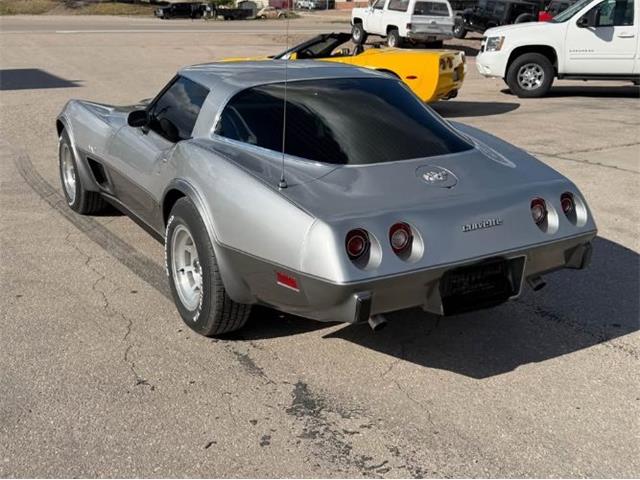 1973 Chevrolet Corvette (CC-2092406) for sale in Cadillac, Michigan