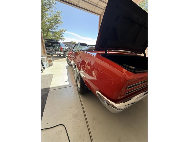 1967 Pontiac Firebird (CC-2092411) for sale in Reno, Nevada