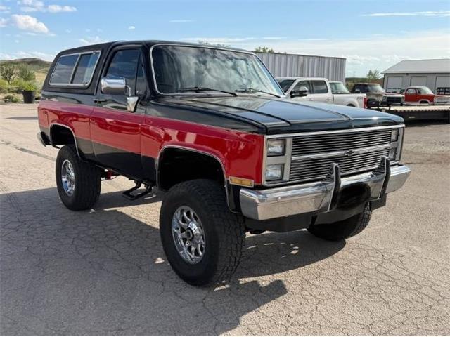 1988 Chevrolet Blazer (CC-2092414) for sale in Cadillac, Michigan