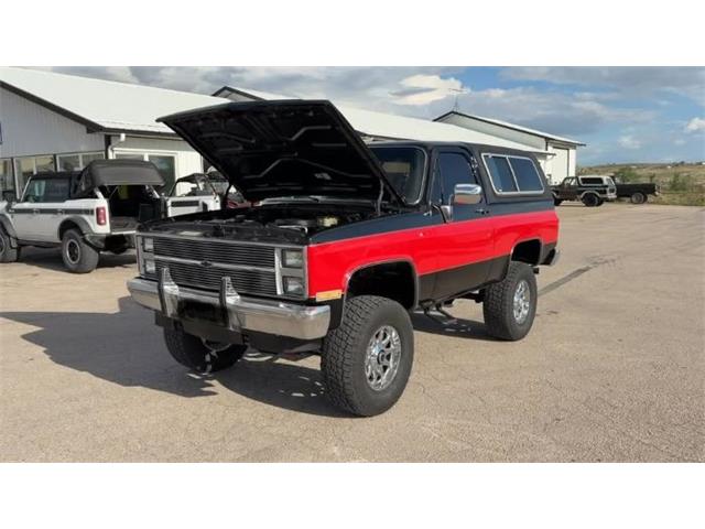 1988 Chevrolet Blazer (CC-2092414) for sale in Cadillac, Michigan