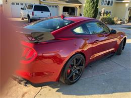 2020 Shelby Mustang (CC-2092435) for sale in Reno, Nevada