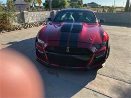 2020 Shelby Mustang (CC-2092435) for sale in Reno, Nevada