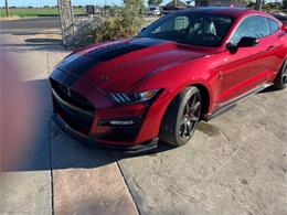2020 Shelby Mustang (CC-2092435) for sale in Reno, Nevada