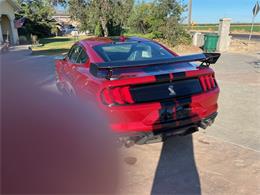 2020 Shelby Mustang (CC-2092435) for sale in Reno, Nevada