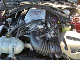 2020 Shelby Mustang (CC-2092435) for sale in Reno, Nevada