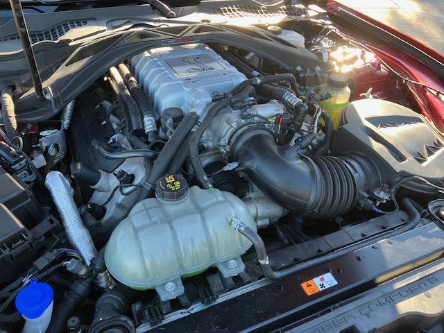 2020 Shelby Mustang (CC-2092435) for sale in Reno, Nevada