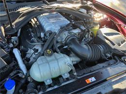 2020 Shelby Mustang (CC-2092435) for sale in Reno, Nevada