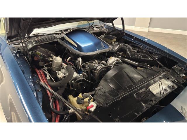 1981 Pontiac Firebird (CC-2092450) for sale in Clearwater, Florida