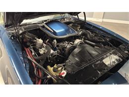 1981 Pontiac Firebird (CC-2092450) for sale in Clearwater, Florida