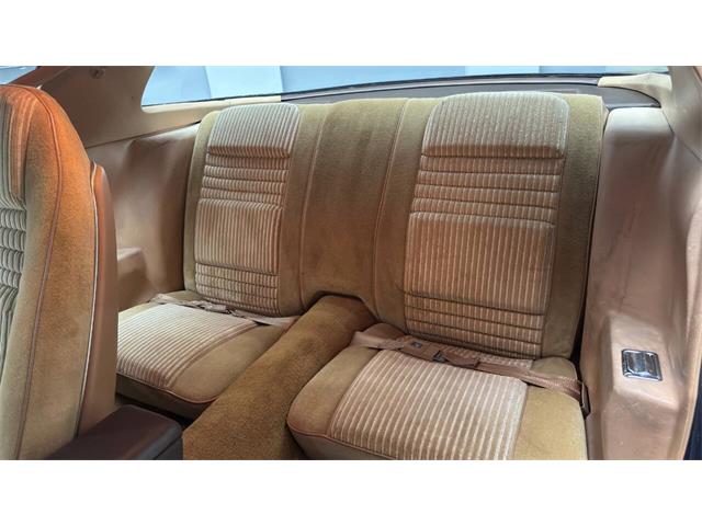 1981 Pontiac Firebird (CC-2092450) for sale in Clearwater, Florida