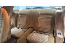 1981 Pontiac Firebird (CC-2092450) for sale in Clearwater, Florida