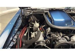 1981 Pontiac Firebird (CC-2092450) for sale in Clearwater, Florida