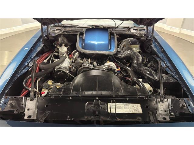 1981 Pontiac Firebird (CC-2092450) for sale in Clearwater, Florida