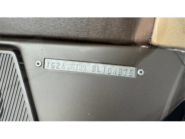 1981 Pontiac Firebird (CC-2092450) for sale in Clearwater, Florida