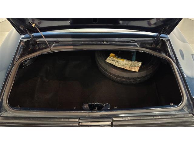 1981 Pontiac Firebird (CC-2092450) for sale in Clearwater, Florida
