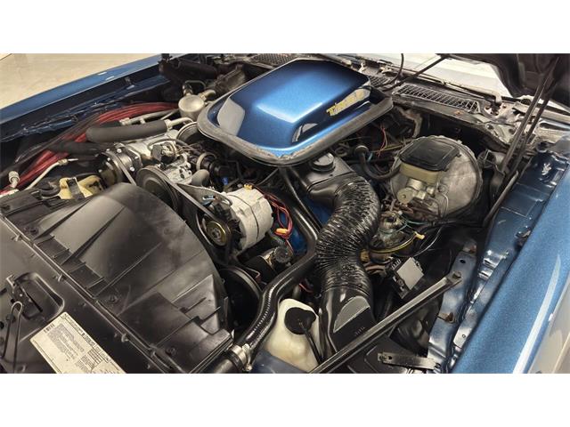 1981 Pontiac Firebird (CC-2092450) for sale in Clearwater, Florida