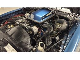 1981 Pontiac Firebird (CC-2092450) for sale in Clearwater, Florida