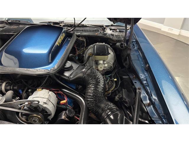 1981 Pontiac Firebird (CC-2092450) for sale in Clearwater, Florida