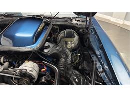 1981 Pontiac Firebird (CC-2092450) for sale in Clearwater, Florida