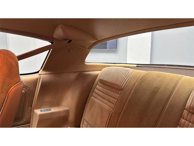 1981 Pontiac Firebird (CC-2092450) for sale in Clearwater, Florida