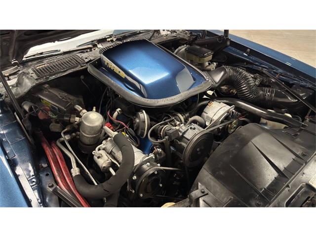 1981 Pontiac Firebird (CC-2092450) for sale in Clearwater, Florida