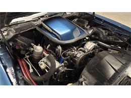 1981 Pontiac Firebird (CC-2092450) for sale in Clearwater, Florida