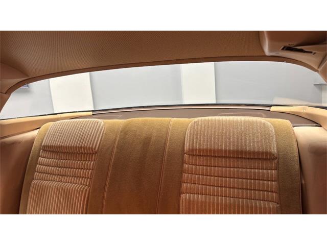 1981 Pontiac Firebird (CC-2092450) for sale in Clearwater, Florida