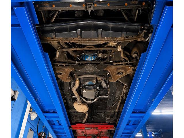 1981 Pontiac Firebird (CC-2092450) for sale in Clearwater, Florida