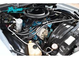 1981 Chevrolet Camaro (CC-2092464) for sale in Lakeland, Florida
