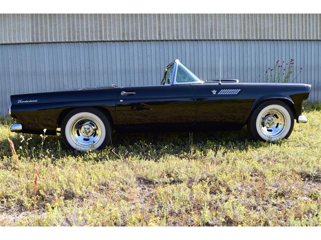 1955 Ford Thunderbird (CC-2090248) for sale in Missoula, Montana