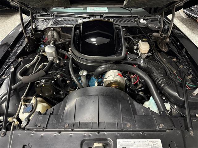 1977 Pontiac Firebird Trans Am SE (CC-2092484) for sale in Lincoln, Nebraska