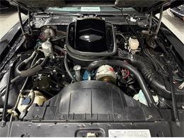 1977 Pontiac Firebird Trans Am SE (CC-2092484) for sale in Lincoln, Nebraska