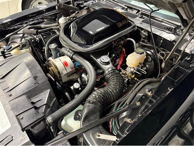 1977 Pontiac Firebird Trans Am SE (CC-2092484) for sale in Lincoln, Nebraska